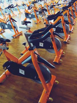 Cardio Equipment